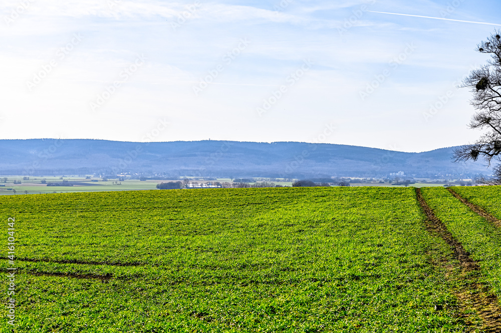 vineyard in region country