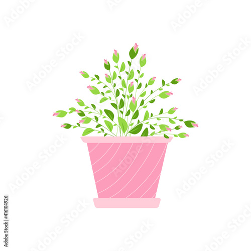 bush pink rose with unblown buds in a flower pot. Design element for postcards, stickers, flower delivery advertising in pots. Vector illustration.