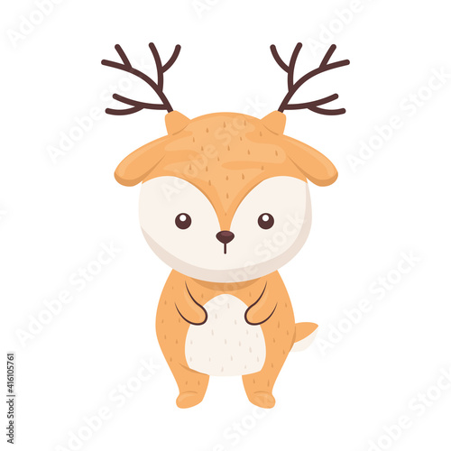 cute lovely , reindeer animal character vector illustration design