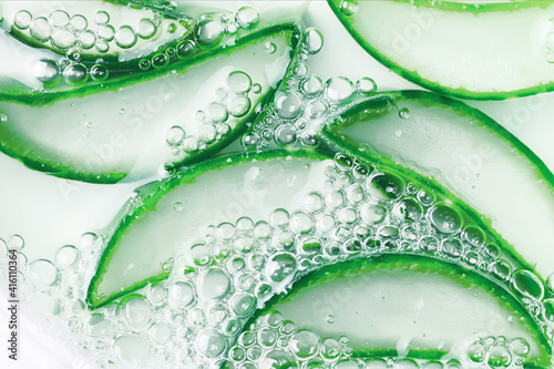 Aloe Vera plant macro background. Beauty concept.