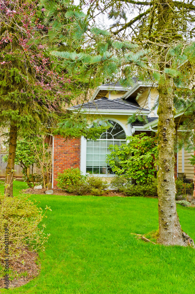 Fragment of a nice house in green.