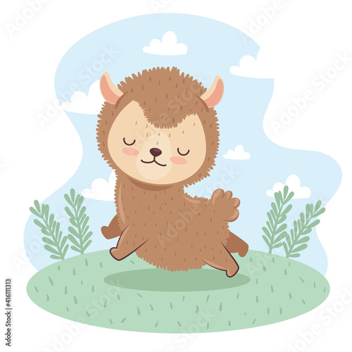 cute lovely , lamb in the camp vector illustration design