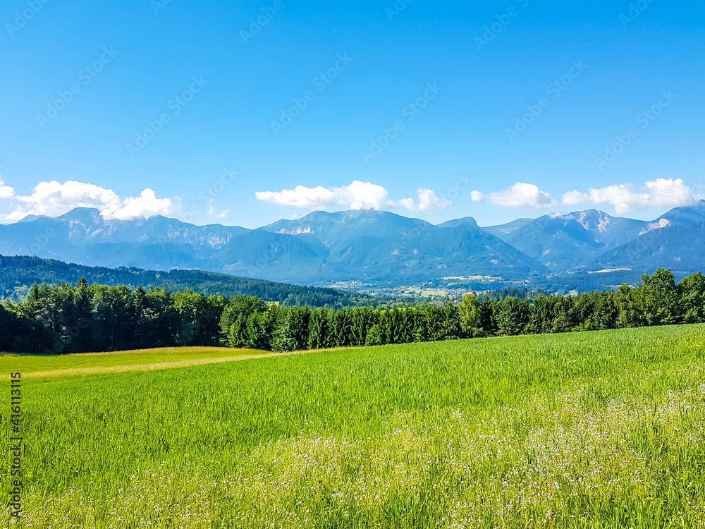 A panoramic view on an alpine landscape of Austria. Lush green meadow spreads on a vast surface. There are high Alps in the back. Few trees on the side, forming a small forest. Idyllic landscape.