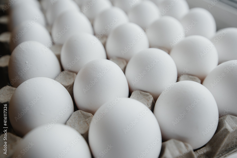 Tray of white fresh eggs close-up on a cardboard form. Agricultural industry Tray of white fresh eggs close-up on a cardboard form. Agricultural industry