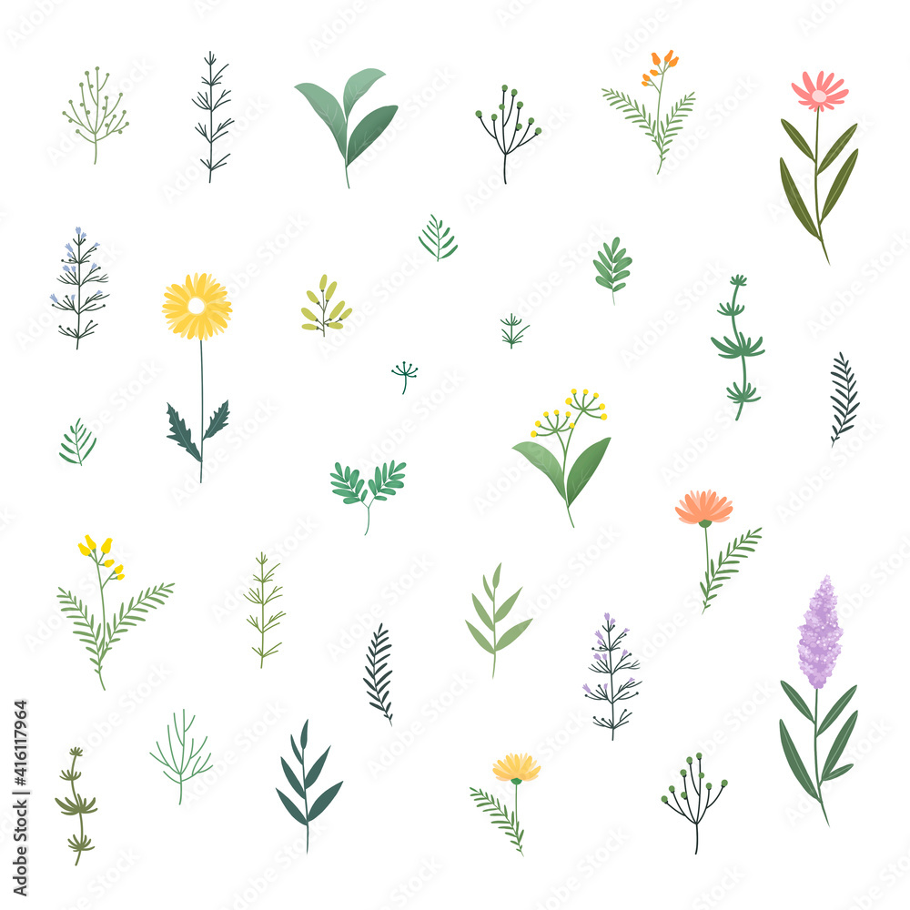 set of flowers set of flowers