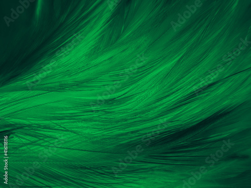 Beautiful abstract yellow and green feathers on dark background, black feather texture on dark pattern and green background, feather wallpaper, love theme, valentines day