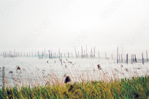Krajobraz sieci łowne na jeziorze spowitym poranną mgłą