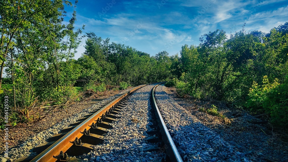 Obraz premium railway in the forest