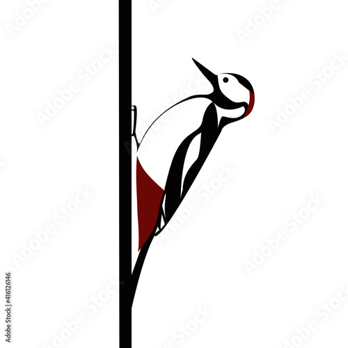 Bird_Great spotted woodpecker_アカゲラ