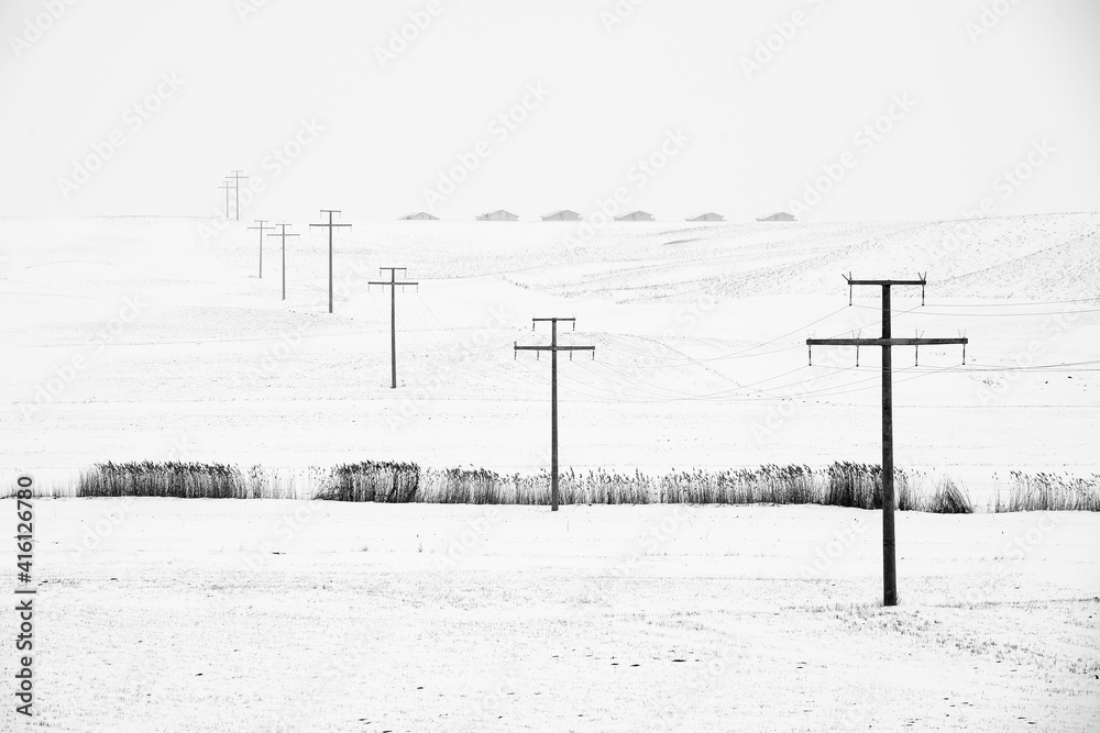 Misty winter scene with a row of reeds and a group of electric power poles extending to the hills in the background