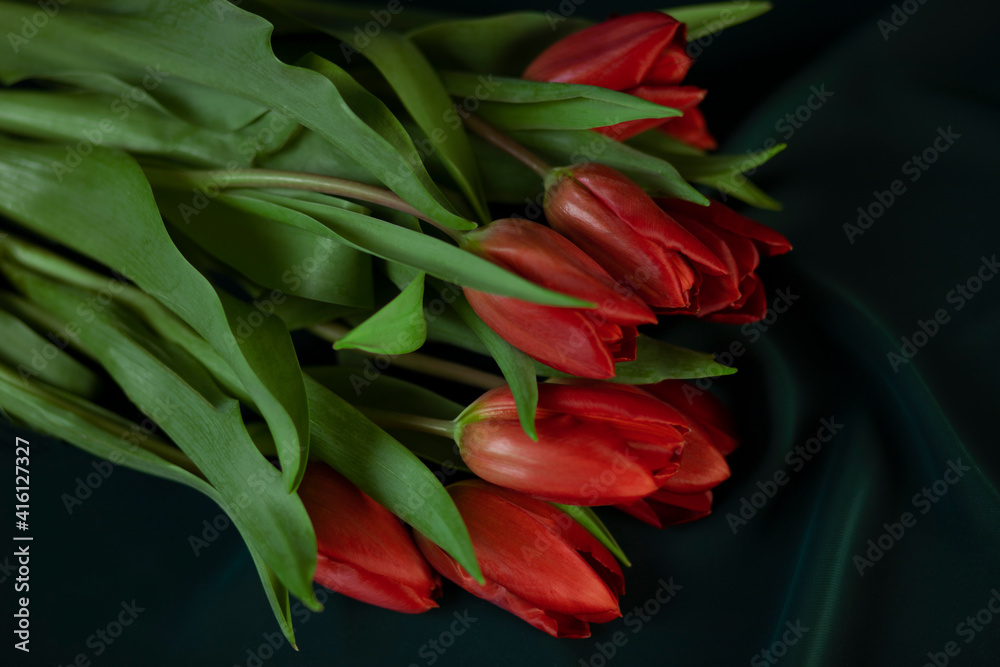 bouquet of tulips. Dark green background with space for text. Advertising idea. Women's Day. bouquet of tulips. Dark green background with space for text. Advertising idea. Women's Day.