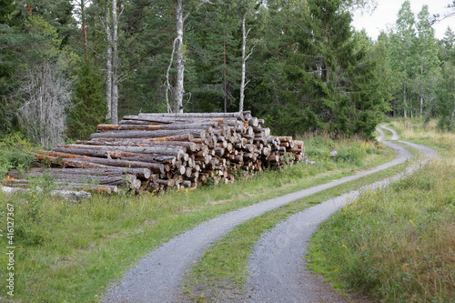 Rural country road in the forest and a pile of tree trunk