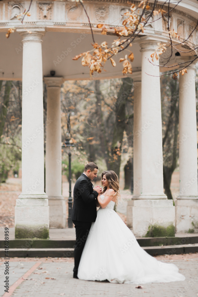 Fototapeta premium Romantic, fairytale, happy newlywed couple hugging and kissing in a park, trees in background