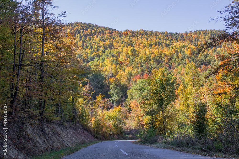 Autumn landscape, old country road and view in the forest of beautiful colors.