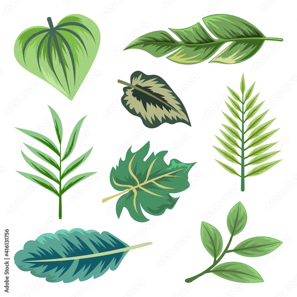 Collection of beautiful tropical leaves isolated on white background.