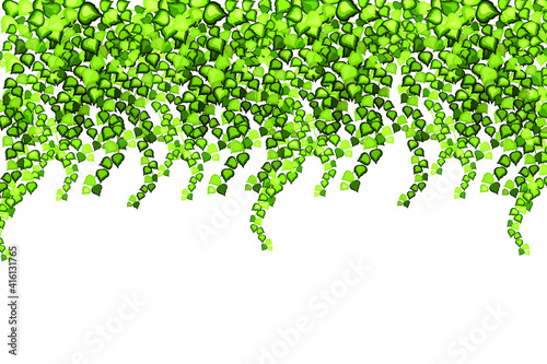 Frame of geen vine, liana or ivy hanging from above or climbing the wall.Decoration for garden or home.Template on white background.