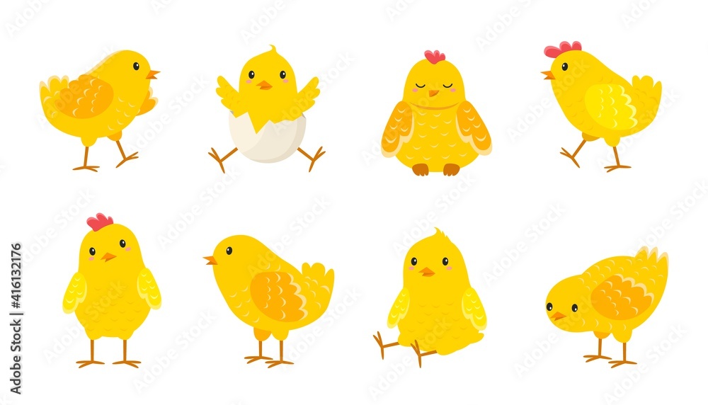 Cartoon Easter chicks. Baby farm birds with yellow feathers. Cheerful  little chickens and roosters activities. Domestic animals hatched from eggs.  Isolated newborn poultry, vector set Stock Vector | Adobe Stock