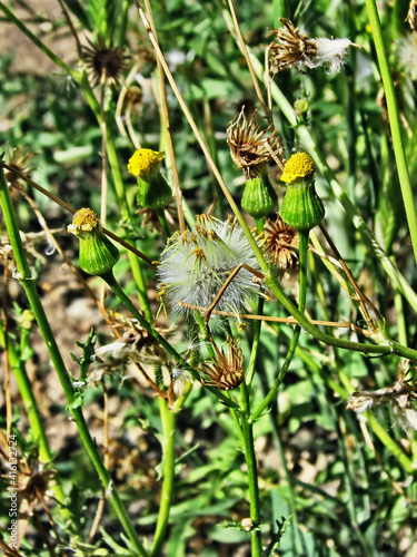 On a forest glade.Composition 3.