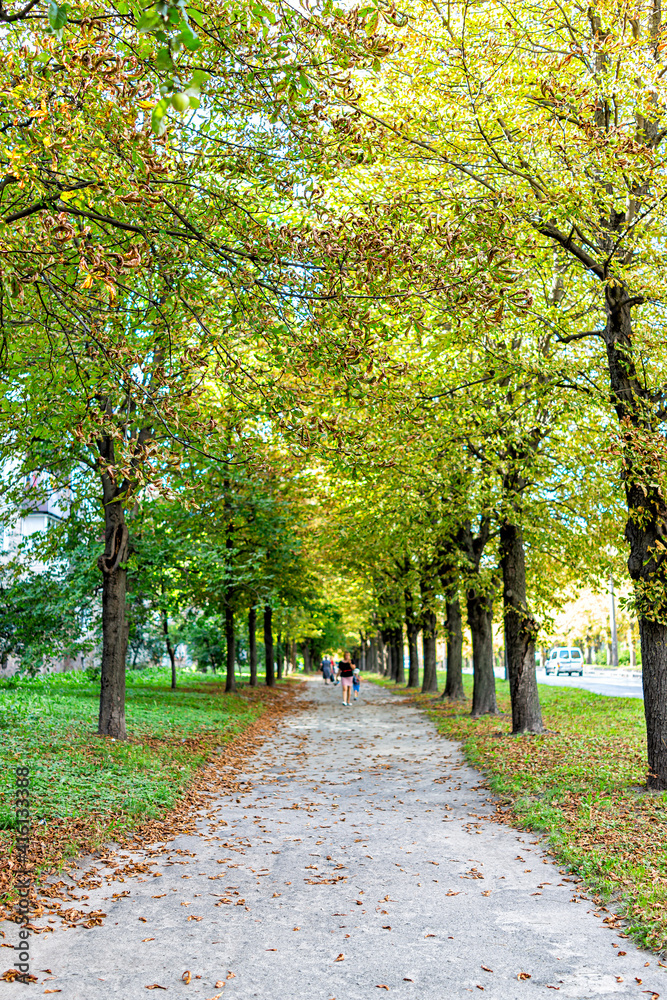 Naklejka premium Rovno Rivne, Ukraine city in western Ukraine outdoor green park in summer with sidewalk alley path and nobody with many fallen chestnut leaves autumn fall