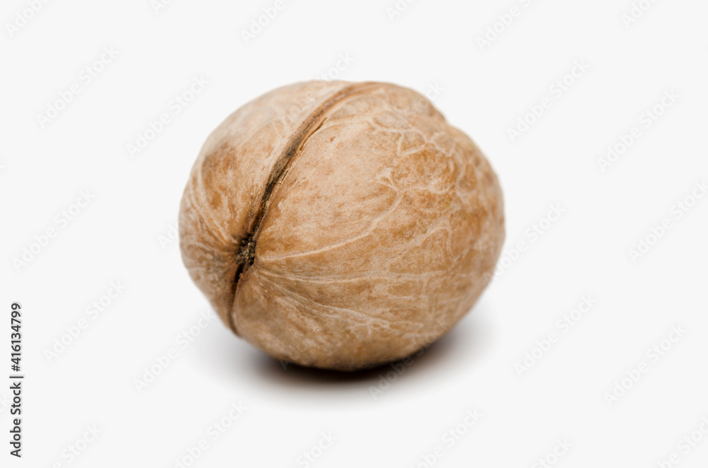 Authentic california walnut akhrot in shell isolated on white background Authentic california walnut akhrot in shell isolated on white background