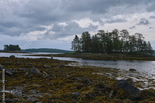 Low tide in north sea. Summer. Russia.