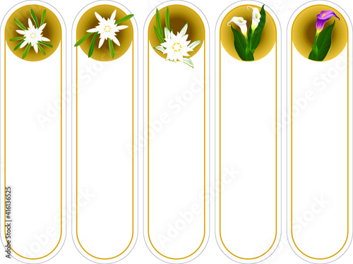 Bookmark cards in flower style.  It can be used as wall board, banner, icon, wallpaper, gift card, bookmark or book separator. 