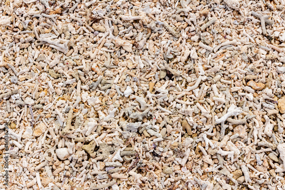 Coral beach, top view. Fragile white coral on the beach. Coral beach, top view. Fragile white coral on the beach.