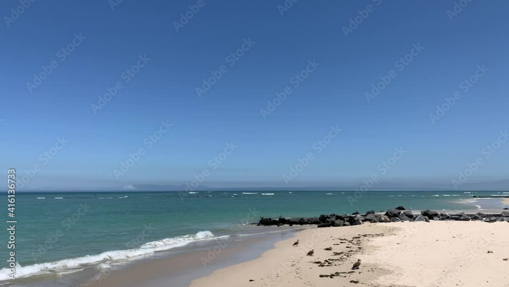 Seagulls on the white sands water edge of Strand beach False Bay with blue ocean and blue skies Seagulls on the white sands water edge of Strand beach False Bay with blue ocean and blue skies
