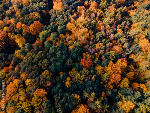 Сolorful autumn forest of aerial view from drone