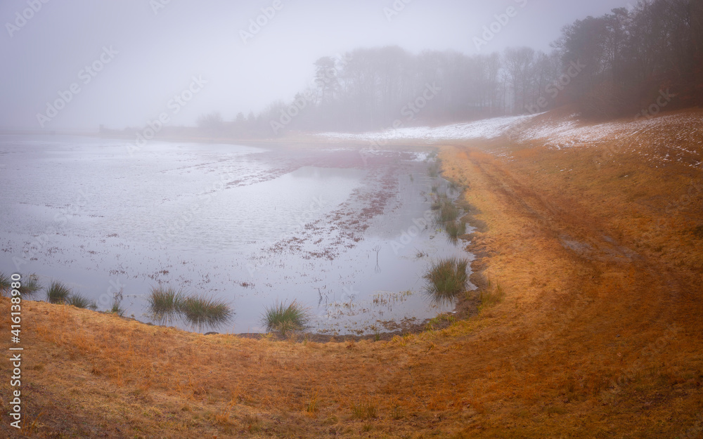 Curved Grassy Road at the Flooded Cranberry Bog in the Foggy Morning