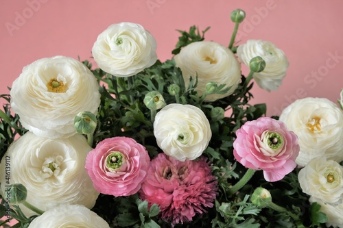 Ranunculus pink and white flowers on a light pink background. Ranunculus bouquet.Buttercups flowers in pastel colors. 