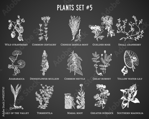 Vector hand drawn plants set on black background