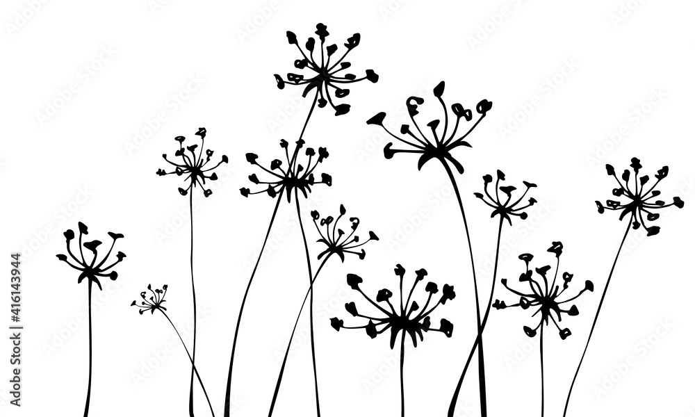 Background with inflorescences silhouettes. Grass. Herbs. Spring or summer floral background. - obrazy, fototapety, plakaty 