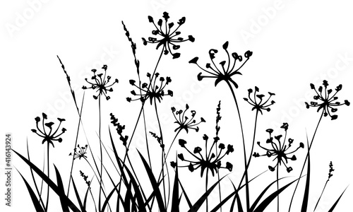 Floral background with grass and flowers silhouettes. Spring or summer background.