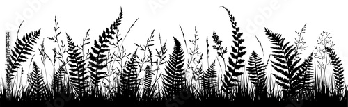 Background with fern leaf silhouettes and herbs. photo
