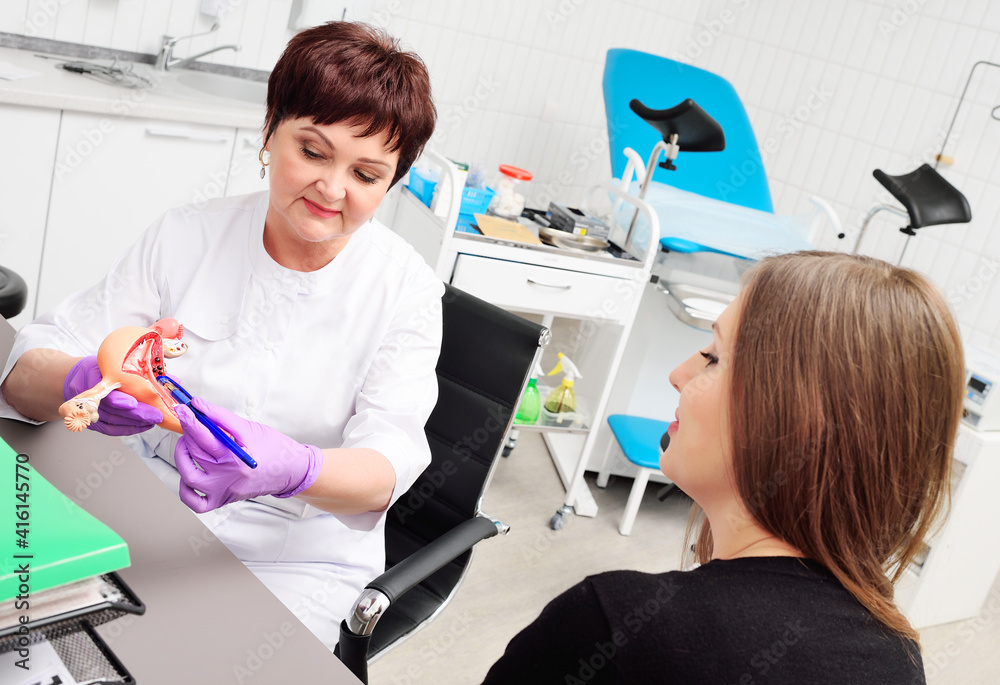 an obstetrician-gynecologist shows a young woman a model of the uterus ...