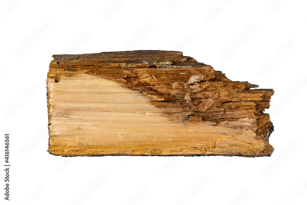 Fototapeta premium Old wooden slat isolated on a white background.