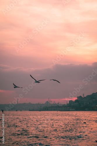 Clouds with the sunset view and the seagulls 