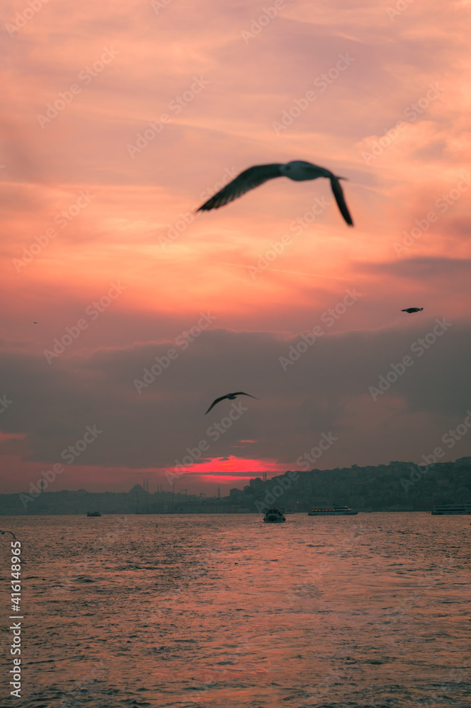 Clouds with the sunset view and the seagulls 