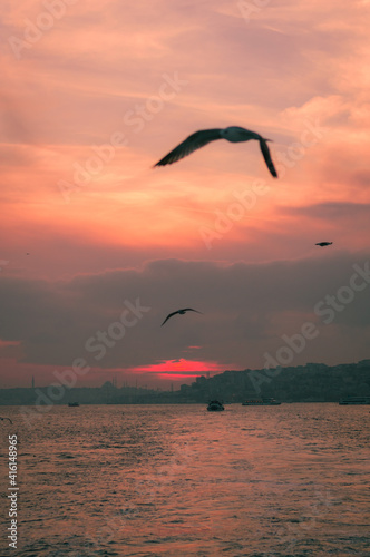 Clouds with the sunset view and the seagulls  © Ahmed