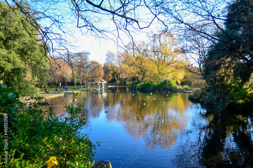 Photography Birds of Stephen's Green, Dublin, Ireland