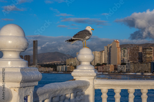 Balcó del Mediterrani, Benidorm, alicante, spain, tourist attraction photo