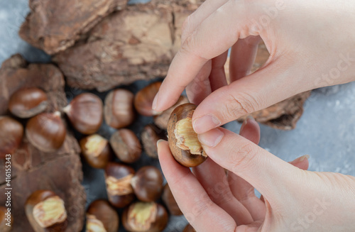 Delicious healthy chestnuts on a tree bark