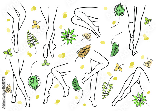 Silhouette of a beautiful lady. The girl is slim and elegant. The woman's legs and hands. Nearby green leaves, nature. Suitable for advertising cosmetics. Vector illustration.
