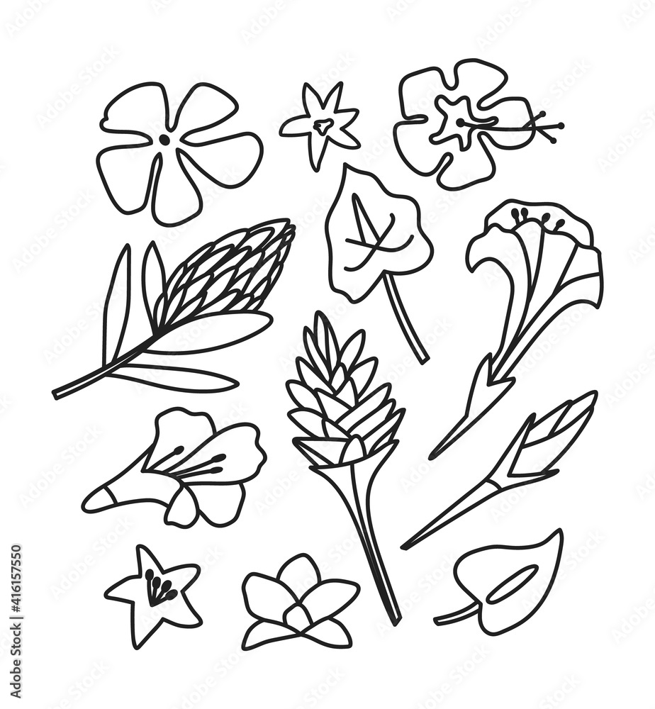 Vector illustration set of different tropical flowers isolated on white background. Hand-drawn set. Line art. Concept of tropical plants, tropical flowers.