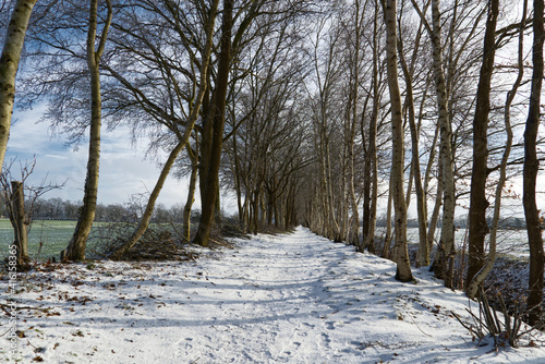 Wanderweg im Winter in Ocholt photo