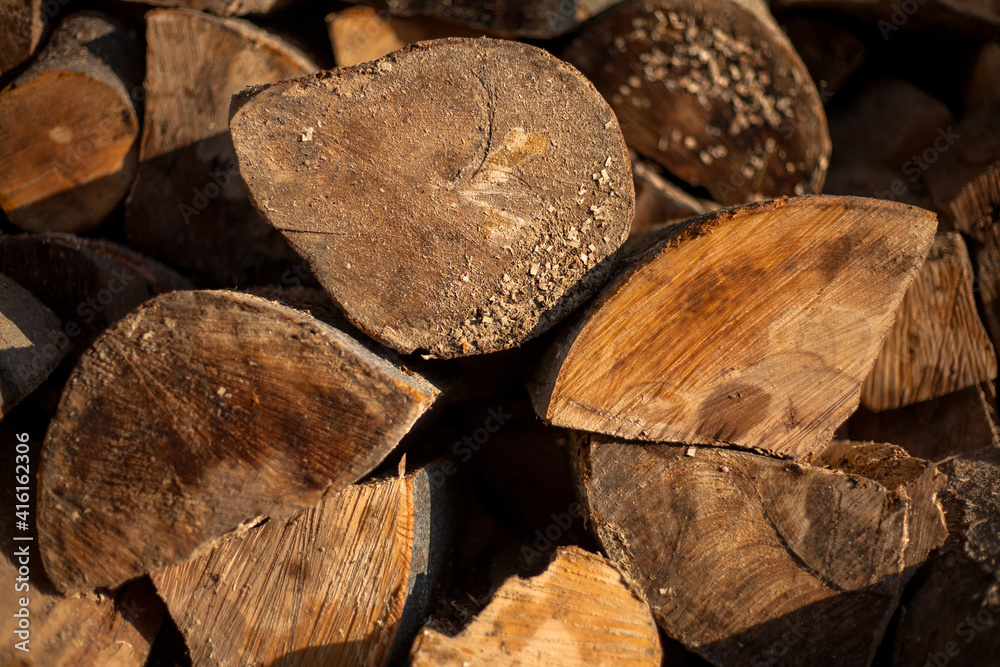 Slices of trees, for background or texture. Slices of trees, for background or texture.
