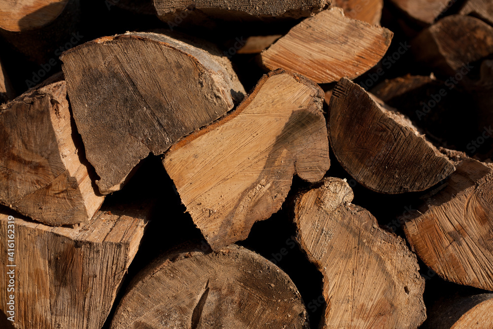 Slices of trees, for background or texture. Slices of trees, for background or texture.
