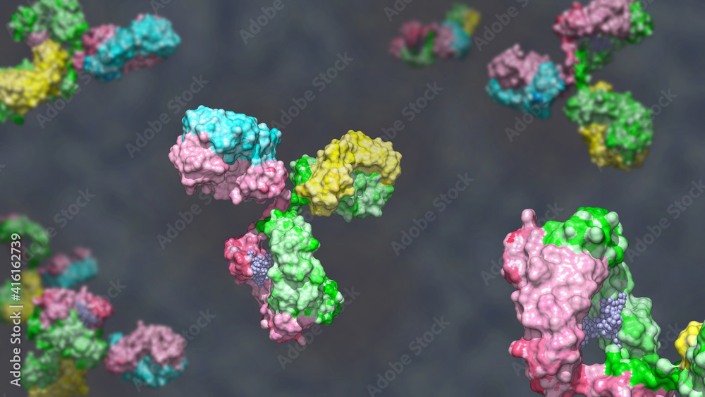 Φωτογραφία Bispecific antibody colored heavy chain in green and pink, light chain blue and