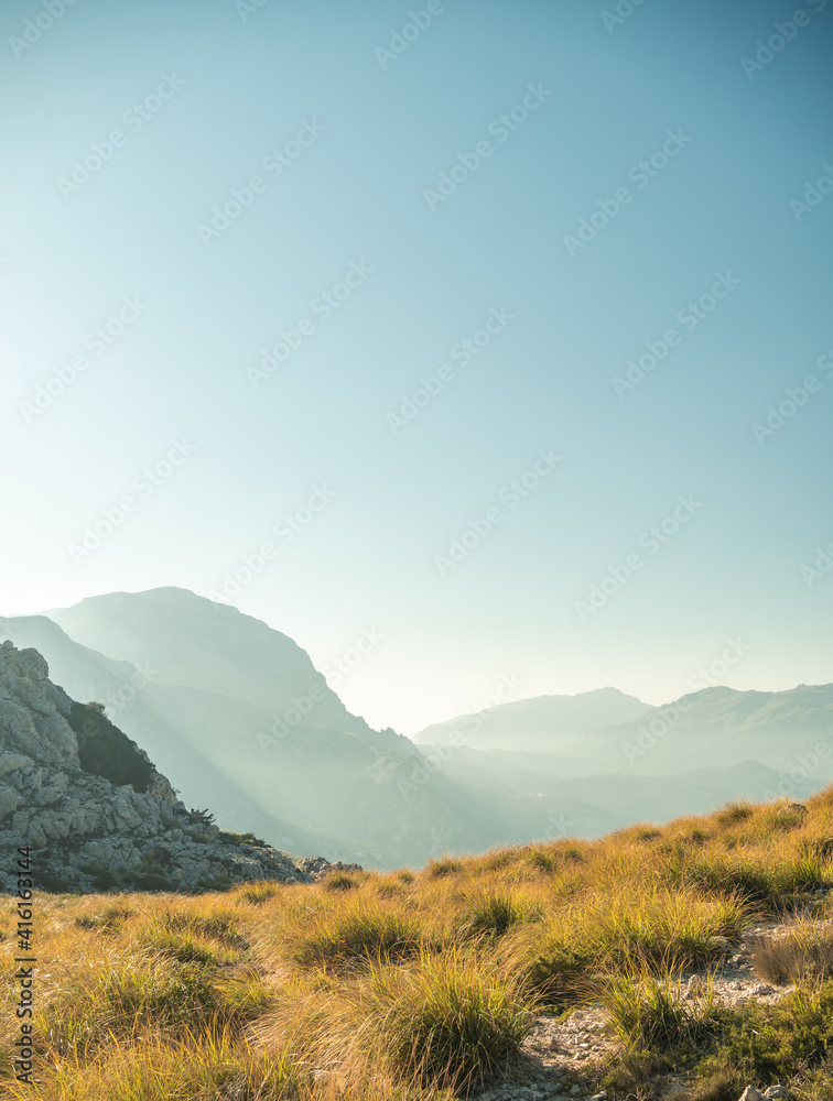 Obraz premium landscape of mountains and sunset with trees in the sierra de tramuntana spain mallorca